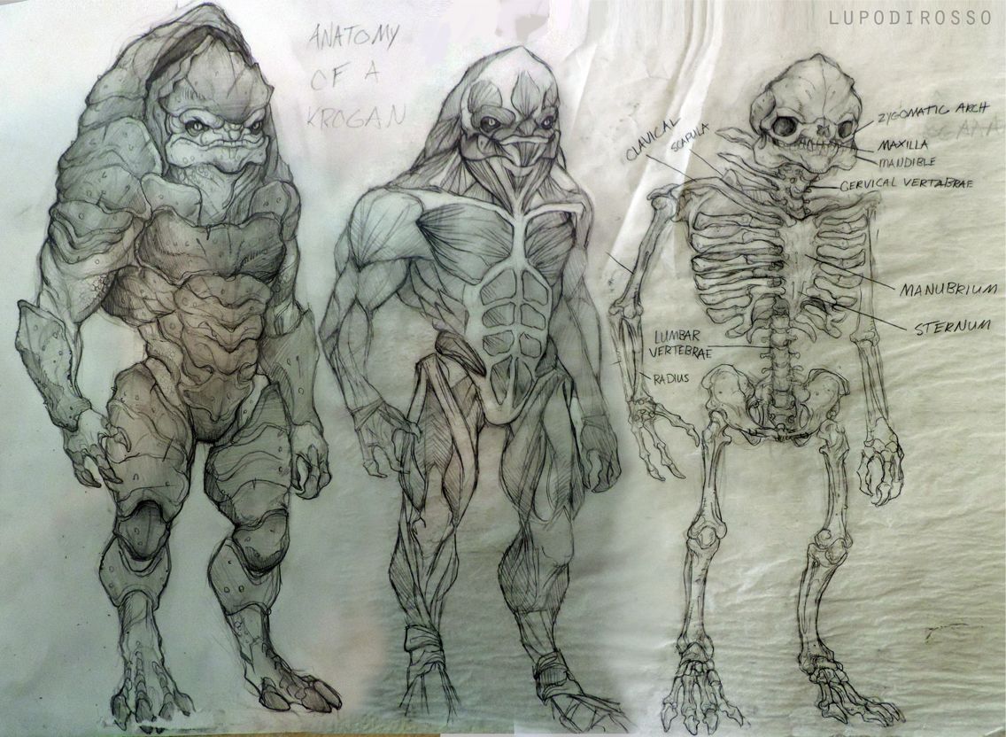 Krogan Anatomy Mass Effect Art Mass Effect Characters Alien Character