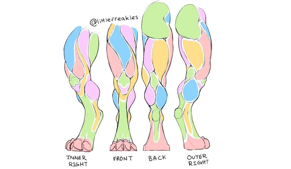Leg Reference Anatomy Reference Drawing Reference Poses Drawing