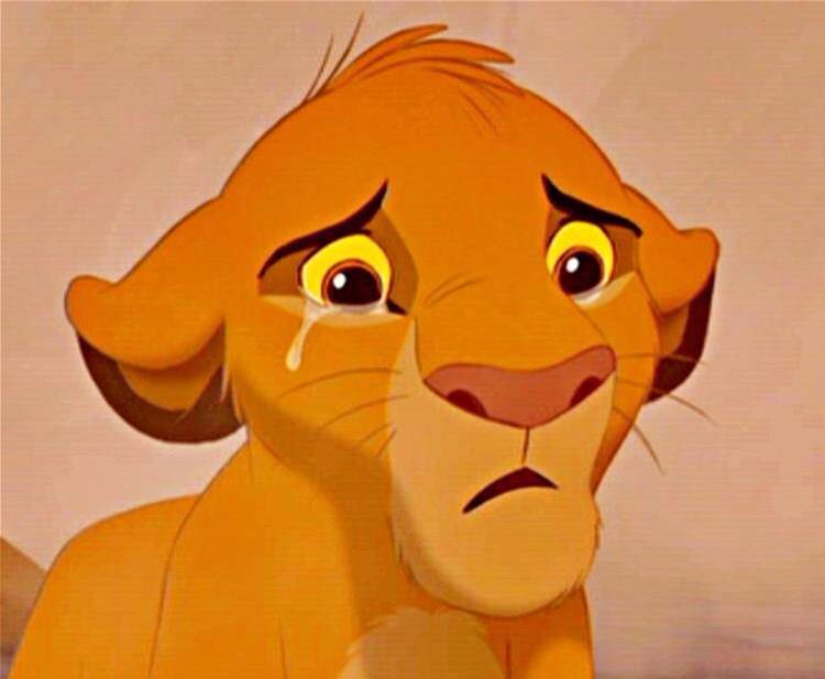 Sad Simba Triste Disney Lion King Timon Disney Lion King Disney