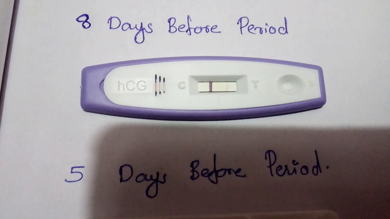 Pregnancy Test Before 8 Days Of Period Youtube