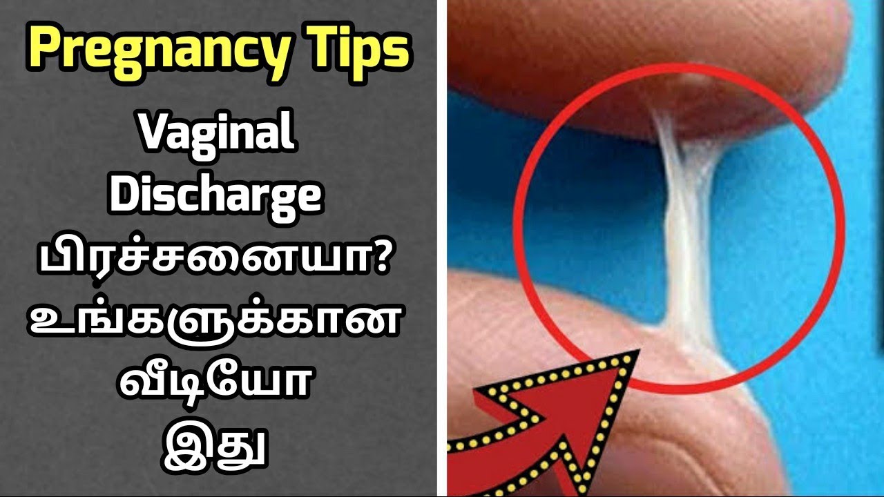 Vaginal Discharge During Pregnancy Explained In Tamil Youtube