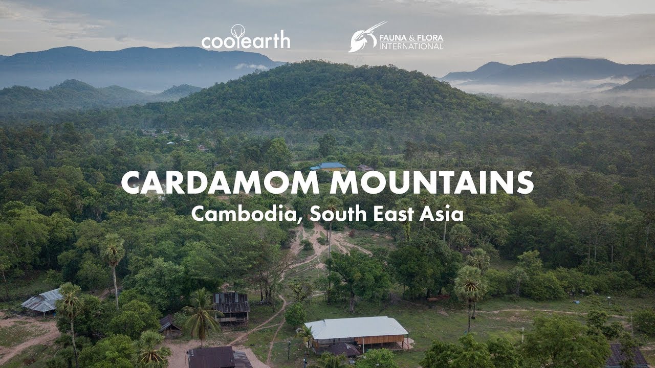 The Cardamom Mountains Cambodia Saving Rainforest In South East Asia