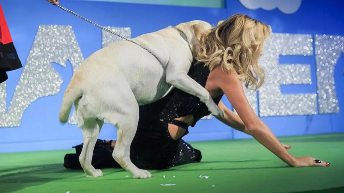 Amanda Holden Falls To The Floor As Large Playful Dog Jumps On Her At