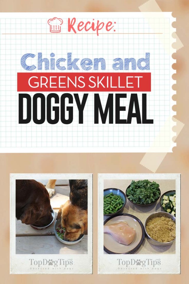 Chicken And Greens Skillet Homemade Dog Food Recipe Video