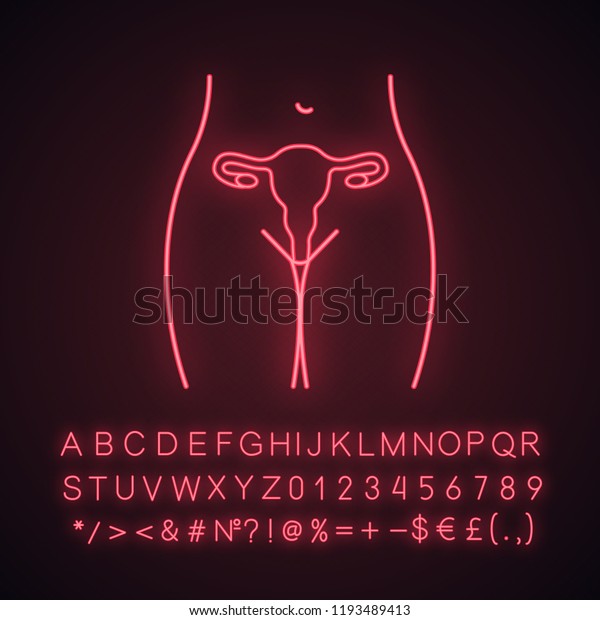 Female Reproductive System Neon Light Icon Stock Vector Royalty Free
