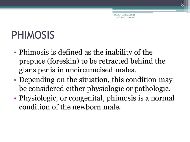 Penis Phimosis And Circumcision Ppt