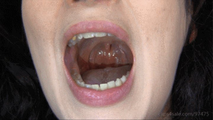 Mouth Closeup And Uvula Inside Mouth Tonsils Uvula Hd Version Miss M