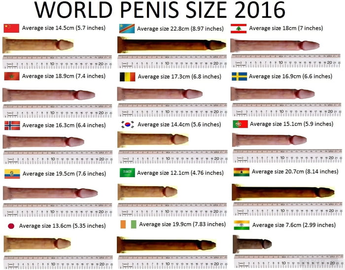 World Cock Size Ranking Penis Korea Dick Size144cm 5