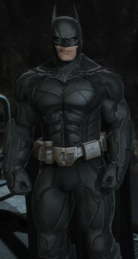 Dark Knight Batman Arkham Origins Skin