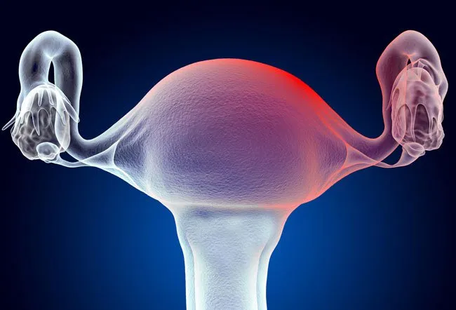What Does Cervical Mucus Look Like After Ovulation