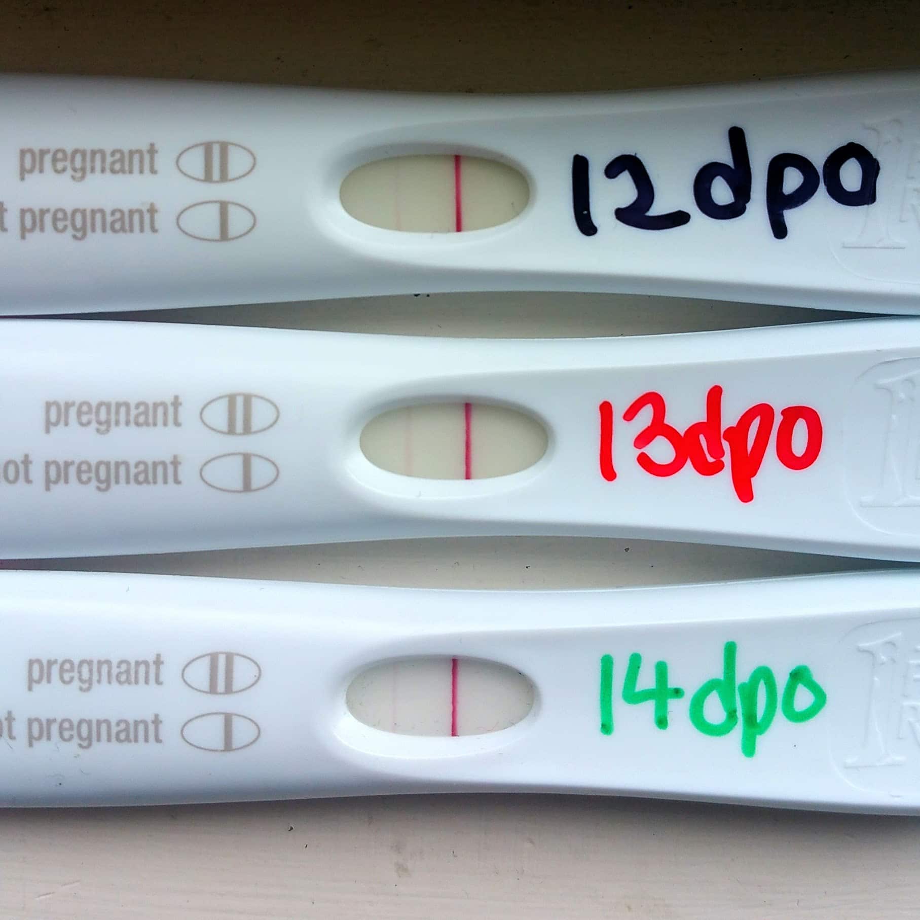 2 Months Missed Period Negative Pregnancy Test