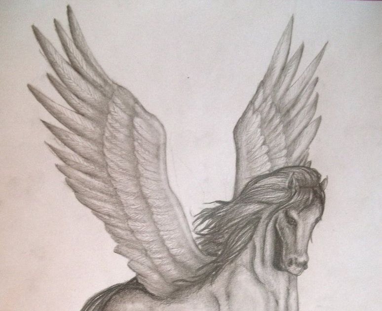 Realistic Mythical Creature Pegasus Drawing Leftwings