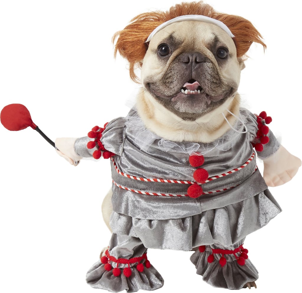 This Pennywise Dog Halloween Costume Is Too Cute To Be Scary Popsugar