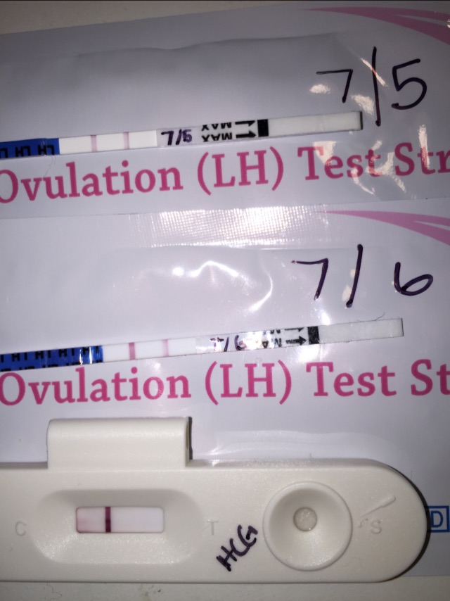 Positive Ovulation Test On Period Day 1 Glow Community