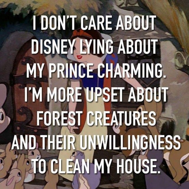 I Dont Care About Disney Lying About Prince Charming I