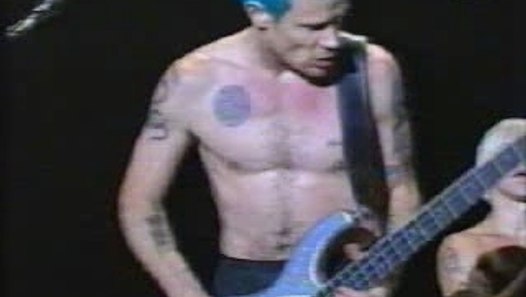 Red Hot Chili Peppers Flea Bass Solo Live Bizarre Vidéo Dailymotion