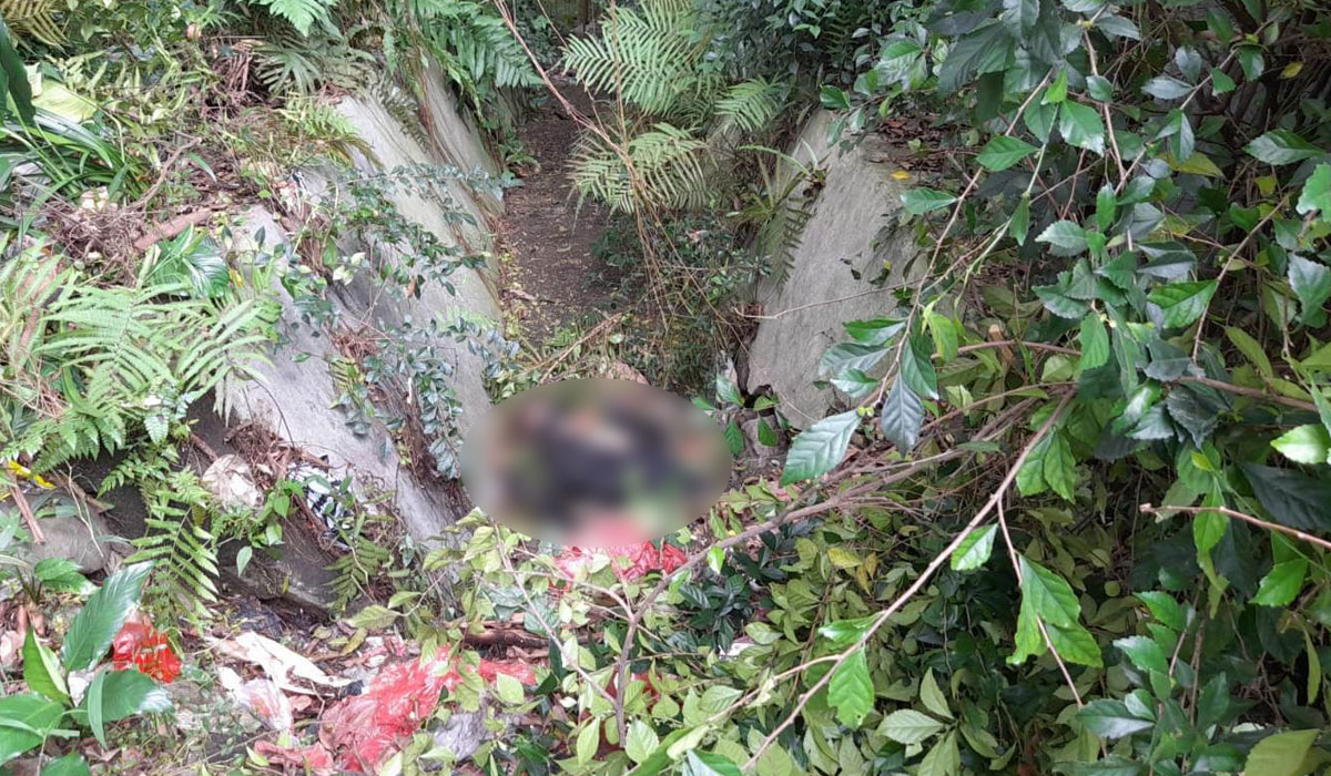 Penemuan Mayat Di Seberang Istana Bogor Radar Bogor Berita Bogor