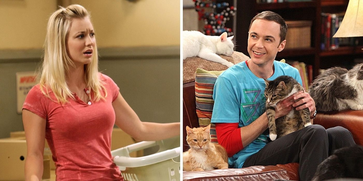The Big Bang Theory Mightve Went Too Far With This Animal Cruelty Scene