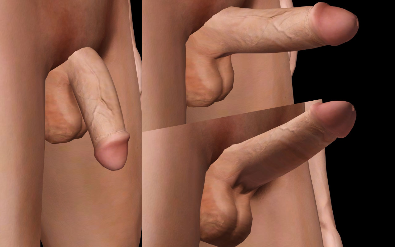Request Realistic Penis Request And Find The Sims 4